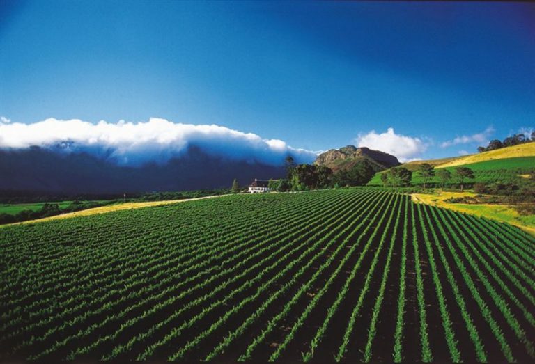 Wine Valley Wine Valley