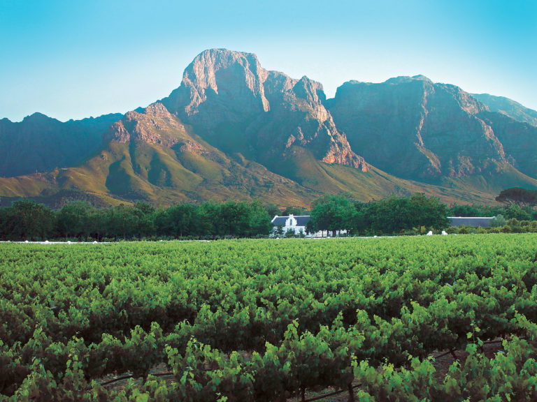 Wine Valley Wine Valley