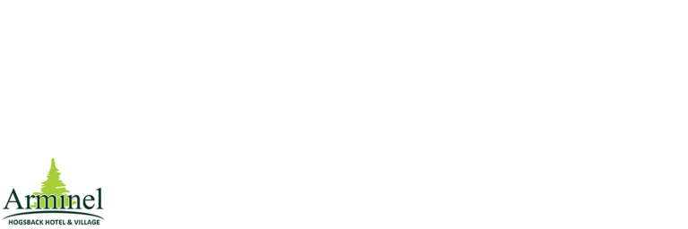 Arminel Logo 768x256