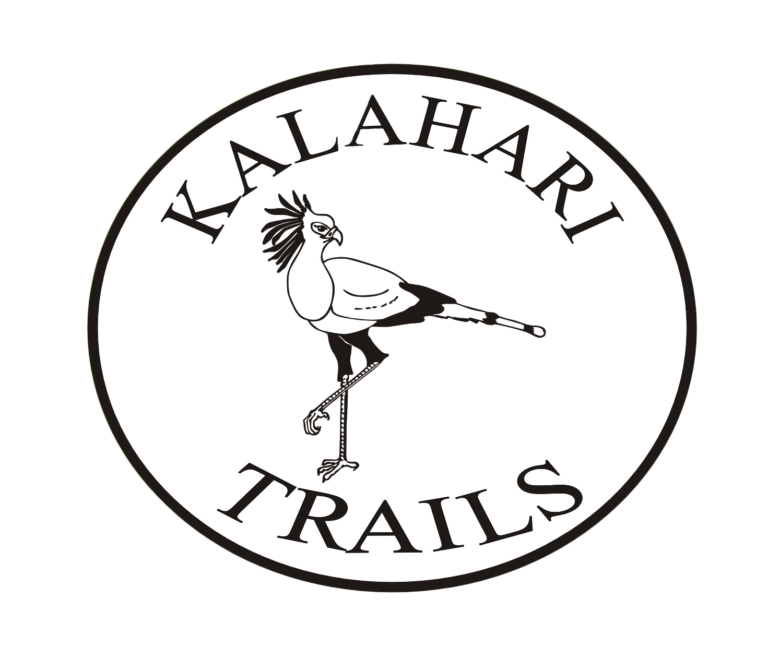 logo2 768x648