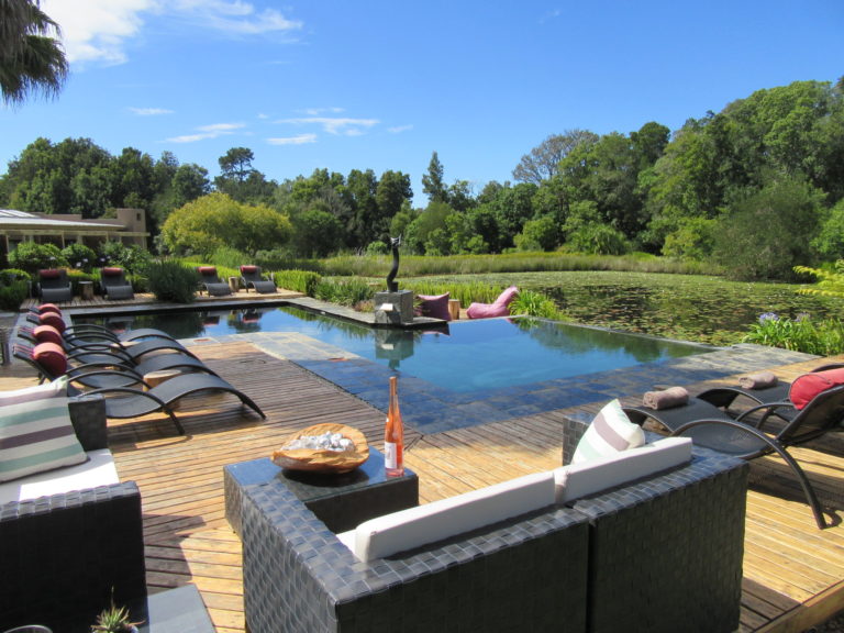 Pool Pond main picture 768x576