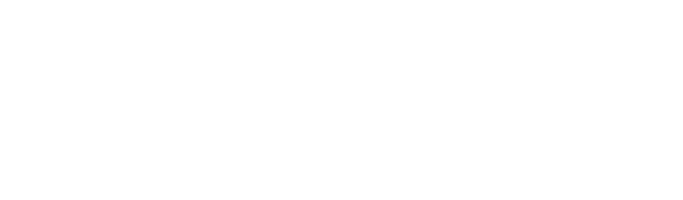 MINIMALISTwhite 1 768x225