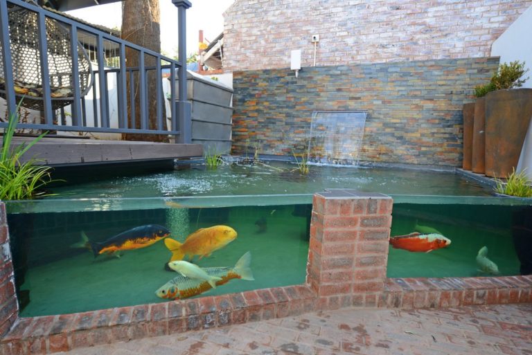 Koi pond 2 768x513