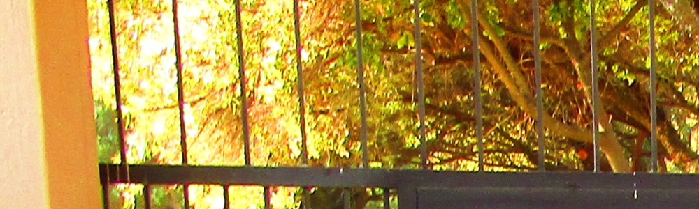 User banner image